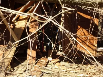 [Hearth.com] Need 3 Tree's Identified to get even with them