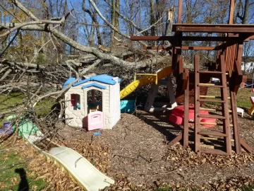 [Hearth.com] Need 3 Tree's Identified to get even with them