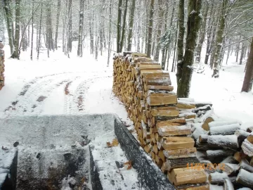 [Hearth.com] Four Loads!