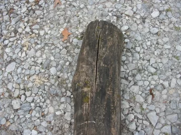 [Hearth.com] Nature did all the work