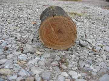 [Hearth.com] Nature did all the work