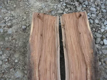 [Hearth.com] Nature did all the work