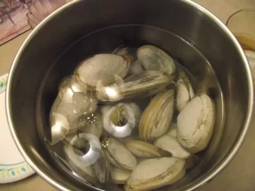 [Hearth.com] Wood Potpurri (and oysters). pic heavy