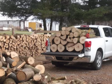 [Hearth.com] What do you use to haul your wood out of the woods to the wood pile