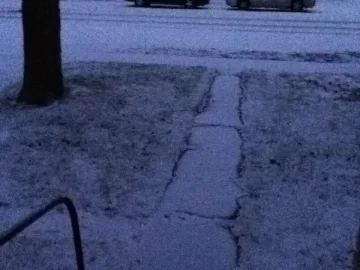 [Hearth.com] This morning I woke up to