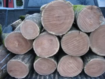[Hearth.com] Started Cutting and Hauling