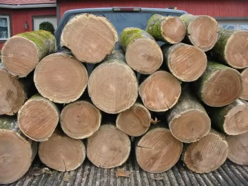 [Hearth.com] Started Cutting and Hauling