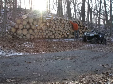 [Hearth.com] My Holiday weekend......