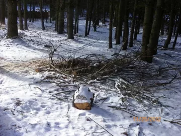 [Hearth.com] Started The Clean Up