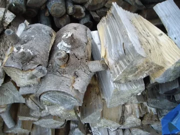 [Hearth.com] Wood ID in western Massachusstes