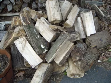 [Hearth.com] Wood ID in western Massachusstes