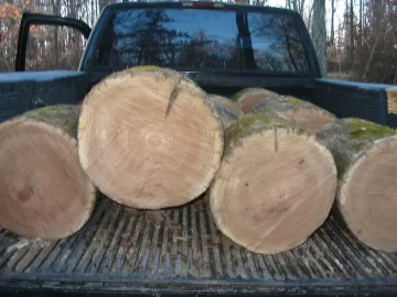 [Hearth.com] Started Cutting and Hauling