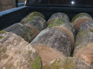 [Hearth.com] Started Cutting and Hauling