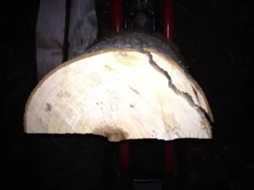 [Hearth.com] Can anyone ID this tree/wood?