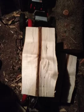 [Hearth.com] Can anyone ID this tree/wood?