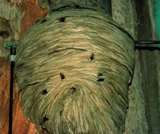 [Hearth.com] Garn Nest