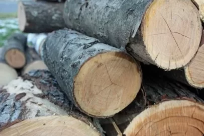 [Hearth.com] Wood ID and questions...