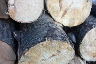 [Hearth.com] Wood ID and questions...