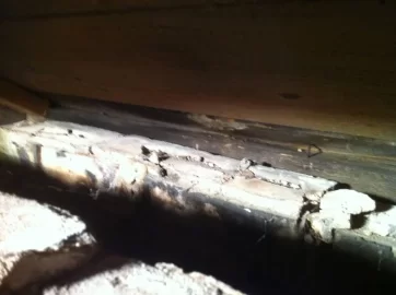 [Hearth.com] Attic Masonry Chimney Question