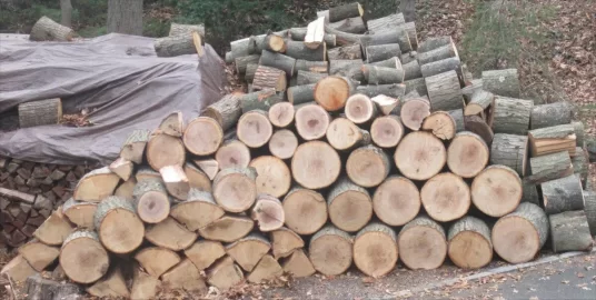 [Hearth.com] My storage area is full...