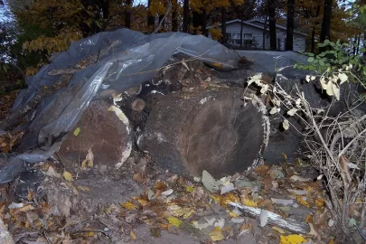 [Hearth.com] Finally - seasoned wood the whole burning season