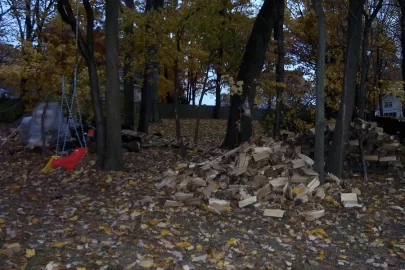 [Hearth.com] Finally - seasoned wood the whole burning season