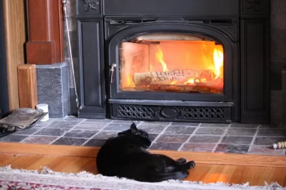 [Hearth.com] When to add more wood to the fire?