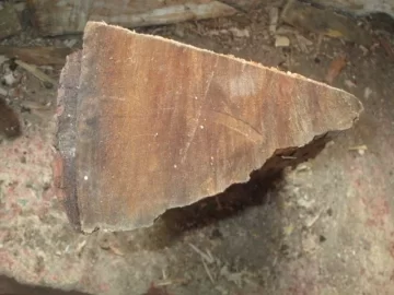 [Hearth.com] DYI grilling planks