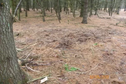 [Hearth.com] Started The Clean Up