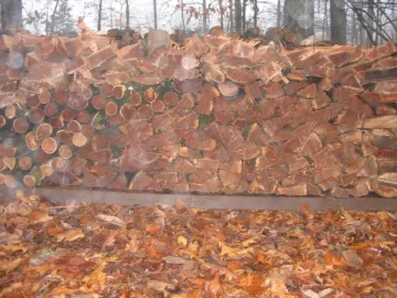 [Hearth.com] Got a few things done