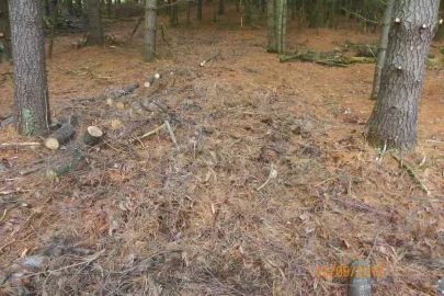 [Hearth.com] Started The Clean Up