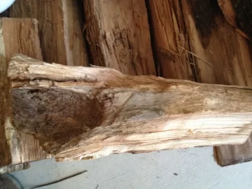[Hearth.com] Wood Id