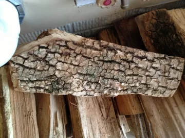 [Hearth.com] Wood Id