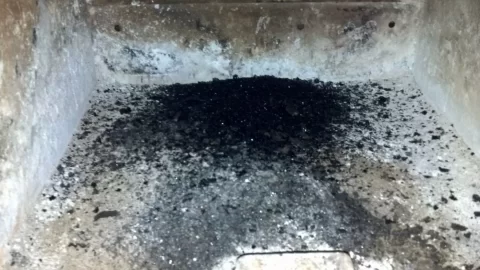 [Hearth.com] just cleaned the chimney