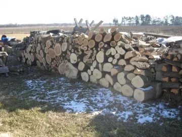 [Hearth.com] Is there a cure for this sickness?