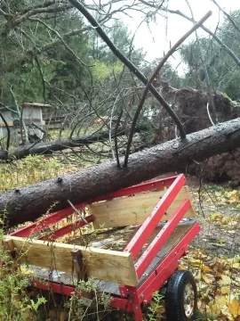 [Hearth.com] Trash Cans To Move Wood