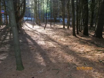 [Hearth.com] Started The Clean Up