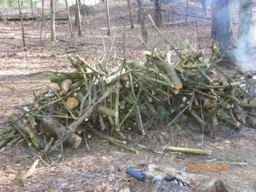 [Hearth.com] Started The Clean Up