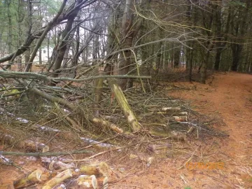 [Hearth.com] Started The Clean Up