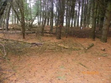 [Hearth.com] Started The Clean Up