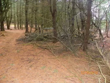 [Hearth.com] Started The Clean Up