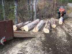 Log skidding,Never done it,  tips, and advice