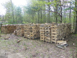 Length, Tee Posts For Wood Stacks