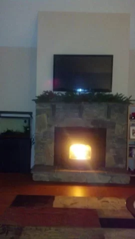 [Hearth.com] New Build with Harman Accentra Insert and Fisher Papa Bear