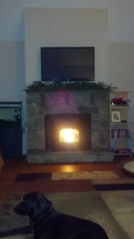[Hearth.com] New Build with Harman Accentra Insert and Fisher Papa Bear