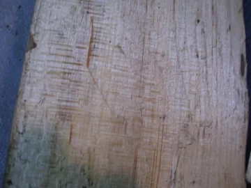 [Hearth.com] Is This White Oak OR ??