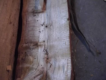 [Hearth.com] Is This White Oak OR ??