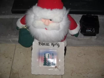 [Hearth.com] Santa says they rule.