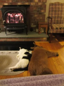 [Hearth.com] There's nothing quite like a woodstove