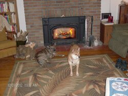 fire dogs and 12 002.JPG